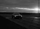 Mustangs in Iceland