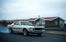 Mustangs in Iceland