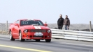 Mustangs in Iceland