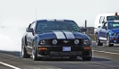 Mustangs in Iceland