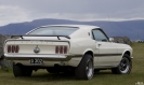 Mustangs in Iceland