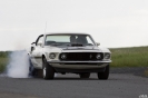 Mustangs in Iceland