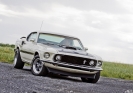 Mustangs in Iceland