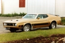 Mustangs in Iceland