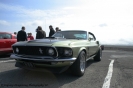 Mustangs in Iceland