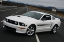 Mustangs in Iceland