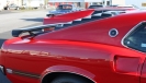 Mustangs in Iceland