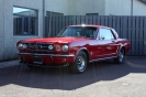 Mustangs in Iceland