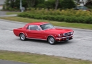 Mustangs in Iceland