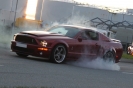 Mustangs in Iceland