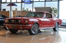 Mustangs in Iceland