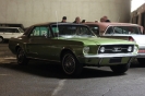 Mustangs in Iceland