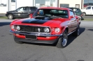 Mustangs in Iceland