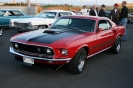 Mustangs in Iceland