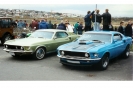 Mustangs in Iceland