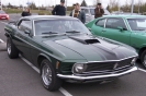 Mustangs in Iceland