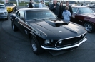 Mustangs in Iceland