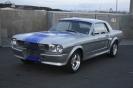 Mustangs in Iceland