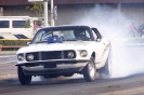 Mustangs in Iceland