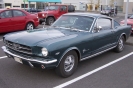 Mustangs in Iceland