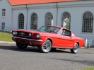 Mustangs in Iceland