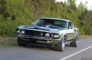 Mustangs in Iceland