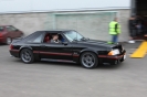 Mustangs in Iceland