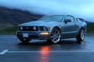 Mustangs in Iceland