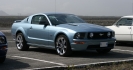 Mustangs in Iceland