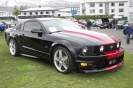 Mustangs in Iceland