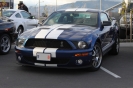 Mustangs in Iceland