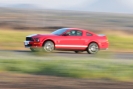 Mustangs in Iceland