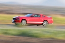 Mustangs in Iceland