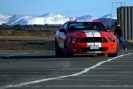 Mustangs in Iceland