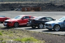 Mustangs in Iceland