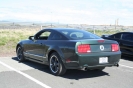 Mustangs in Iceland