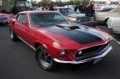 Mustangs in Iceland