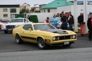 Mustangs in Iceland