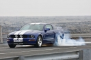 Mustangs in Iceland