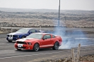 Mustangs in Iceland