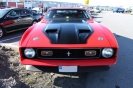 Mustangs in Iceland