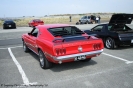 Mustangs in Iceland