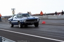 Mustangs in Iceland