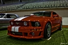 Mustangs in Iceland