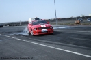 Mustangs in Iceland