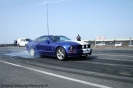 Mustangs in Iceland