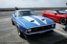 Mustangs in Iceland