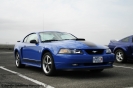 Mustangs in Iceland