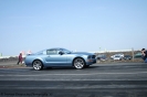 Mustangs in Iceland