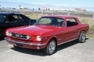 Mustangs in Iceland